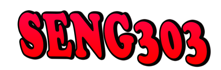 SENG303